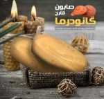 صابون قارچ گانودرما دکتر بیز - تصویر 8