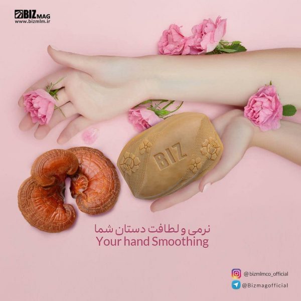 صابون قارچ گانودرما دکتر بیز - تصویر 2
