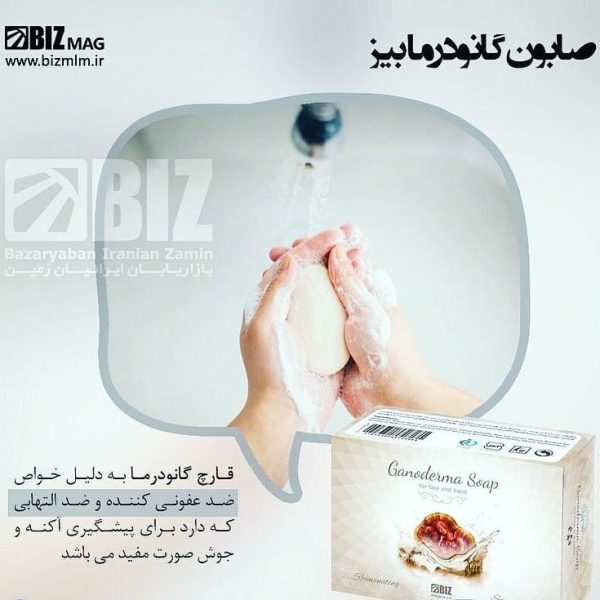 صابون قارچ گانودرما دکتر بیز - تصویر 4