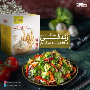 پودر جوانه گندم بین استار
