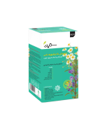 دمنوش بادرنجبویه ترکیبی